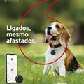 01 Worten Mobile 1 a 28 fevereiro d20.jpg